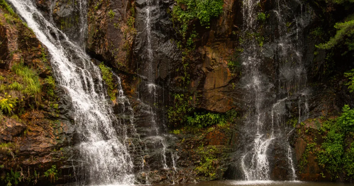 Reedy Cove Falls (Blue Hole): A Pickens County Swimming Hole Classic