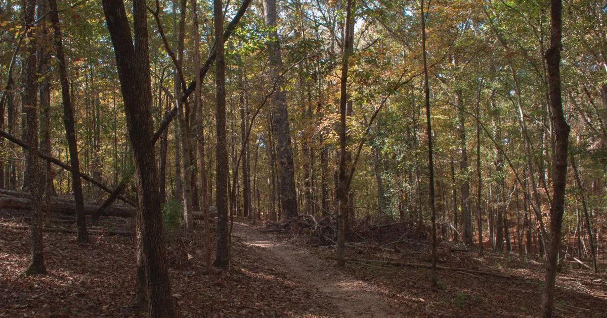 Station Cove Falls: History and Beauty at Oconee Station